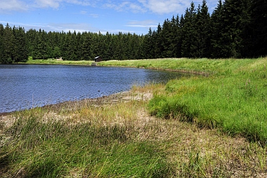 Alter Dammgraben Fortuner Teich Oberharzer Wasserwirtschaft Bilder